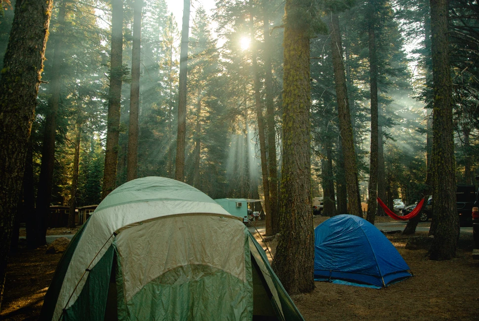Beyond Susanville: Unforgettable Road Trips from the Scenic City