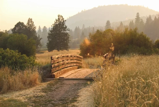 Susanville, CA: Discovering a Hidden Gem - An Introduction to the City and its Weather